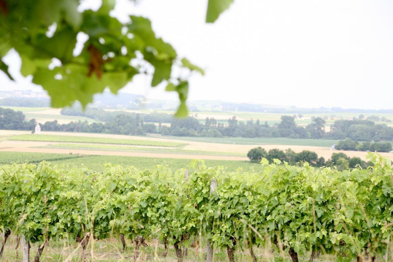 Au Coeur Des Vignes Bed & Breakfast Archiac Luaran gambar